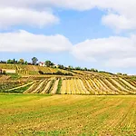 Tinkerhof Stahlhut By Interhome Apartman Gau-Weinheim