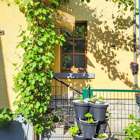 Tinkerhof Stahlhut By Interhome * Gau-Weinheim
